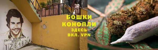 прущие грибы Горно-Алтайск