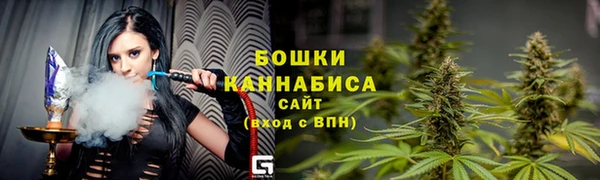 apvp Гусев