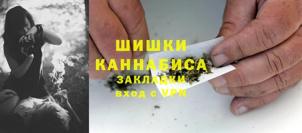apvp Гусев