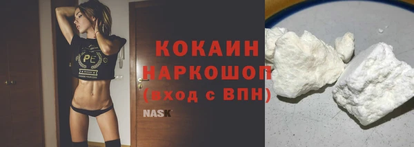 прущие грибы Горно-Алтайск