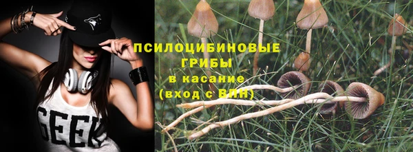 ECSTASY Гусиноозёрск